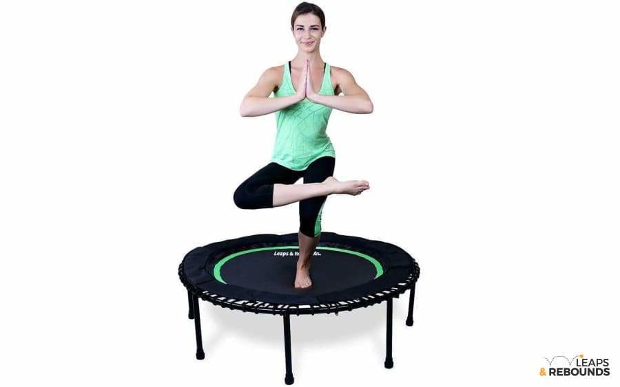 Leaps and Rebounds Fitness Trampoline